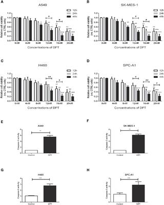 Deoxypodophyllotoxin Inhibits Non-Small Cell Lung Cancer Cell Growth by Reducing HIF-1α-Mediated Glycolysis